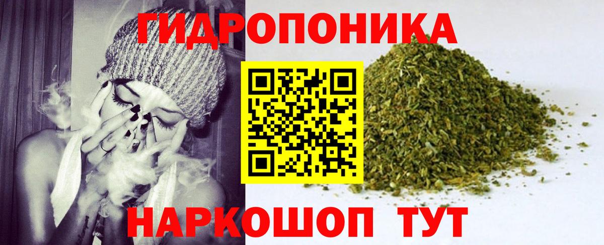 Конопля планчик  Вход с VPN  Тавда  Канабис VHQ  Бошки Шишки Bruce Banner  Шишки марихуана SATIVA & INDICA 
